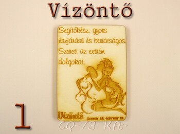 Gravírozott hűtőmágnes Vicces idézetek