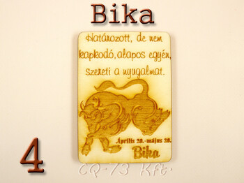 Gravírozott hűtőmágnes Vicces idézetek