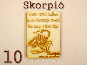 Gravírozott hűtőmágnes Vicces idézetek