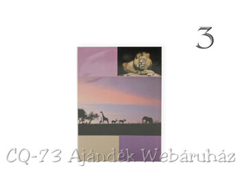 Puhafedeles fényképalbum 36db/9x13cm 4f P3536