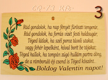 Fatábla okoskodó 18x11cm