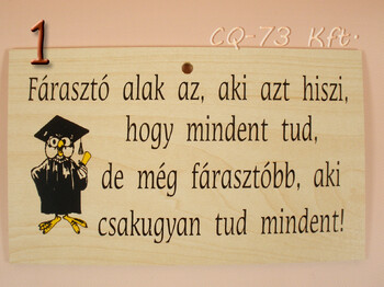 Fatábla okoskodó 18x11cm