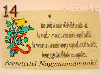 Fatábla okoskodó 18x11cm