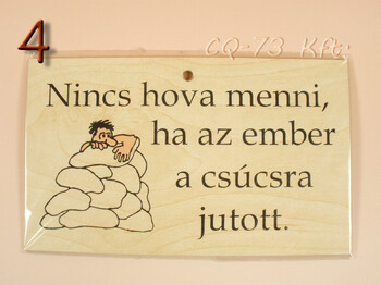 Fatábla okoskodó 18x11cm
