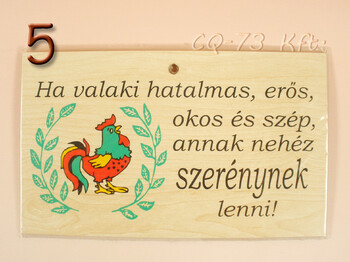 Fatábla okoskodó 18x11cm