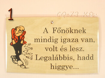 Fatábla okoskodó 18x11cm