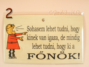 Fatábla okoskodó 18x11cm