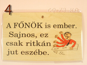 Fatábla okoskodó 18x11cm