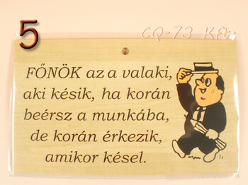 Fatábla okoskodó 18x11cm