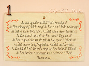 Fatábla okoskodó 18x11cm