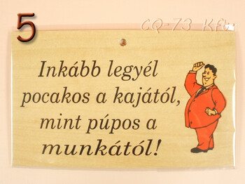 Fatábla okoskodó 18x11cm