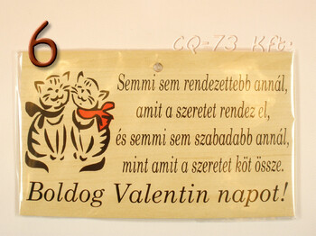 Fatábla okoskodó 18x11cm