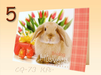 Borítékos képeslap 9